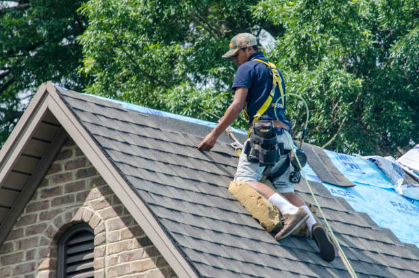 Best New Roof Installation  in Lovejoy, GA