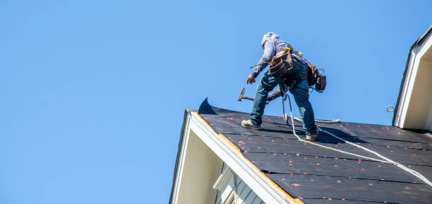 Best Storm Damage Roof Repair  in Lovejoy, GA